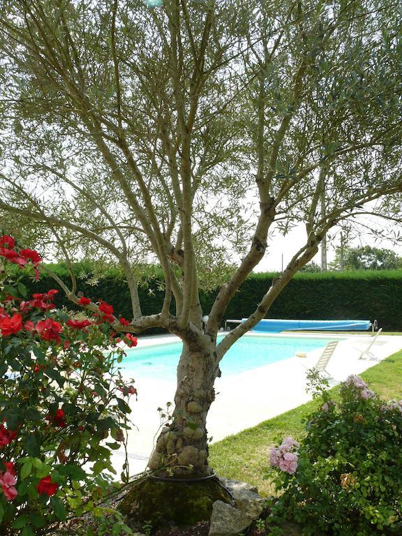 Le Clos De La Vigne Montreuil  Екстер'єр фото